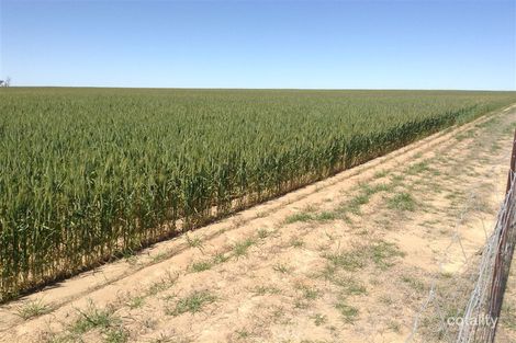 1726 Baandee North Cross Rd, North Baandee, WA 6412