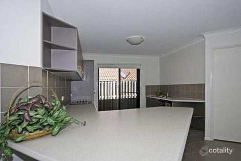 Property photo of 16 Jonquil Street Ormeau QLD 4208