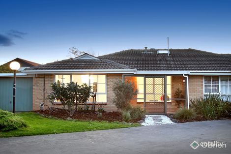 11/15-19 Eddys Gr, Bentleigh, VIC 3204