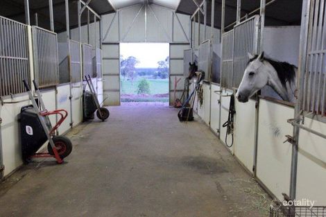 119 Vidlers Rd, Spring Grove, NSW 2470