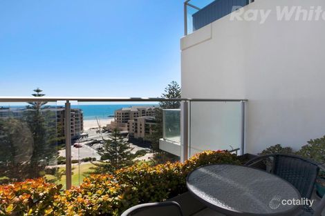 1113/27 Colley Tce, Glenelg, SA 5045
