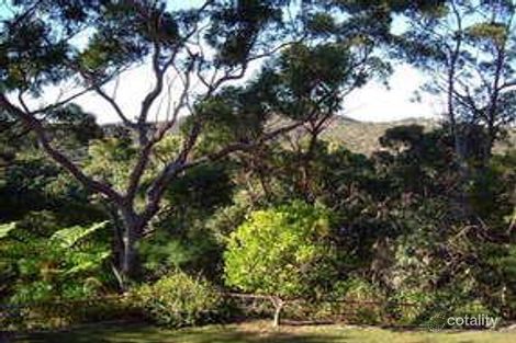 Property photo of 115 Hunter Avenue St Ives NSW 2075