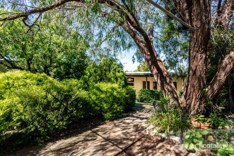Property photo of 4 Petrova Avenue Windsor Gardens SA 5087