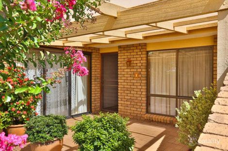 Property photo of 24 Nulty Drive Robinvale VIC 3549