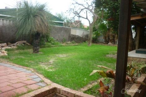 Property photo of 26 Mangrove Circuit Banksia Grove WA 6031