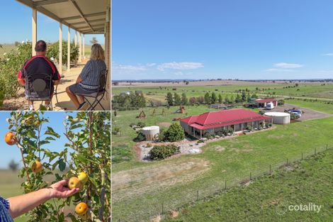 63 Gunning Ridge Rd, Forbes, NSW 2871