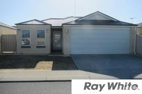 21/87 Clarke St, South Bunbury, WA 6230