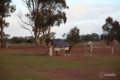 Property photo of 9 Dennison Court Shelbourne VIC 3515