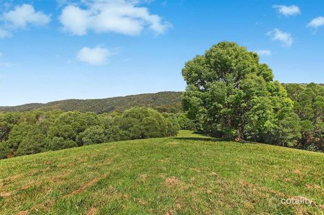 Property photo of 319 Austinville Road Austinville QLD 4213