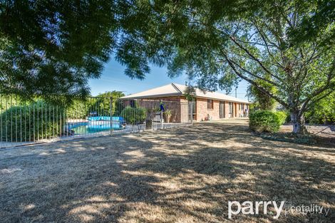 41 Percy St, Carrick, TAS 7291