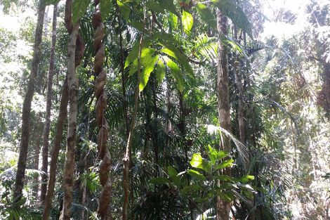 Property photo of 48 Sanctuary Close Speewah QLD 4881