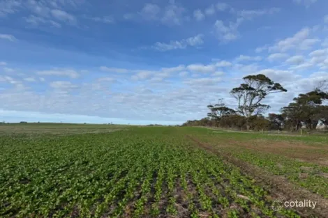 430 Fitzgerald Rd, Cockaleechie, SA 5631