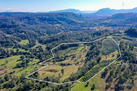 1740 Nimbin Rd, Koonorigan, NSW 2480