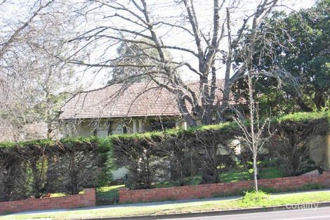 41 Green St, Camberwell, VIC 3124