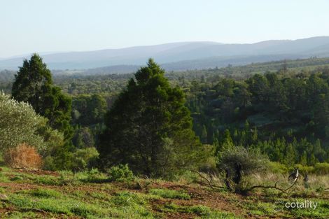 164 Reservoir Rd, Nelshaby, SA 5540