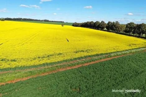 233 Mungedar Rd, Badgingarra, WA 6521