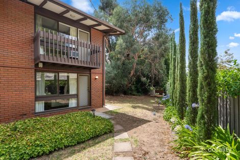 1/2 Alton Ave, Torrens Park, SA 5062