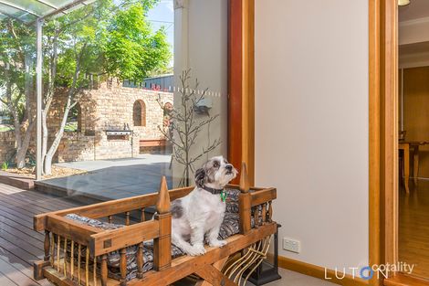 Property photo of 8 Tuckey Place Stirling ACT 2611