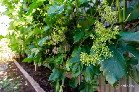 Property photo of 24 Porter Street Elizabeth South SA 5112