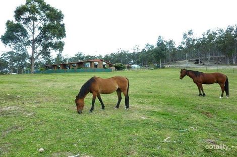 Property photo of 855 Arthur Highway Forcett TAS 7173