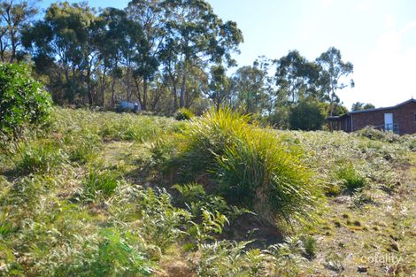Property photo of 9 Kestrel Street Primrose Sands TAS 7173