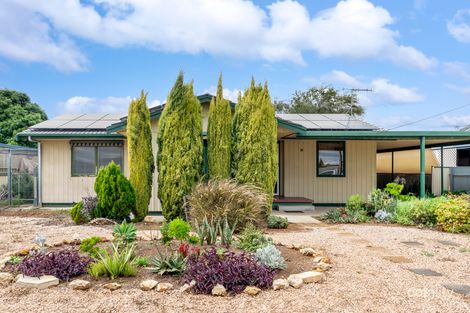 Property photo of 39 Dridan Avenue Renmark SA 5341