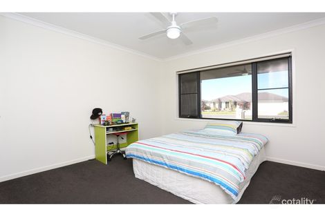 Property photo of 21 River Gum Court Loganholme QLD 4129