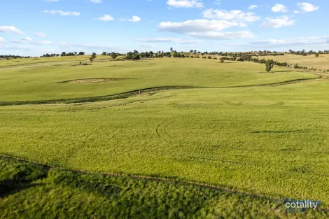 170 Kanoona Rd, Cunningar, NSW 2587