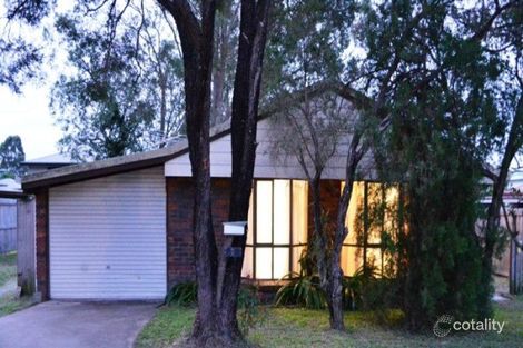 Property photo of 7 Canopus Court Kingston QLD 4114