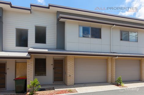 Property photo of 38/88 Candytuft Place Calamvale QLD 4116