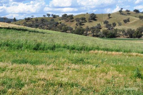 Property photo of 21 Wisemans Arm Road Garthowen NSW 2345