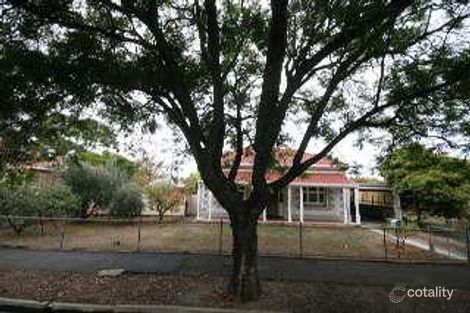 43 Lynton Ave, Millswood, SA 5034