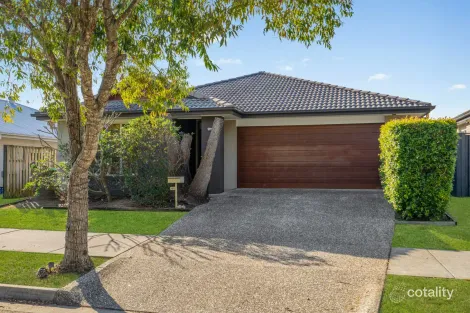 Property photo of 41 Ellenborough Avenue Ormeau Hills QLD 4208