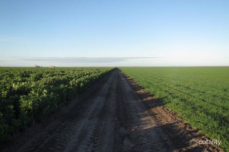 123 Taringa Lane, Edgeroi, NSW 2390