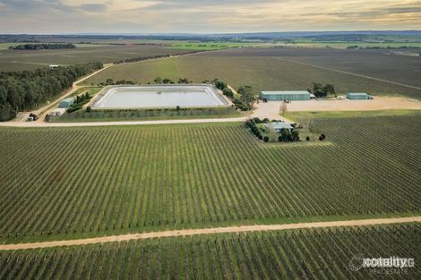 299 Clements Rd, Langhorne Creek, SA 5255