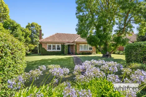 43 Strachan Ave, Manifold Heights, VIC 3218