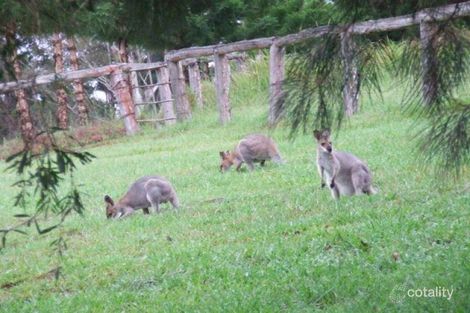 Property photo of 50 Aural Vale Road North Deep Creek QLD 4570