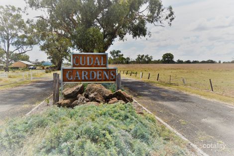 25 Rodda Dr, Cudal, NSW 2864