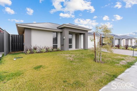 Property photo of 16 Carmine Chase Brabham WA 6055
