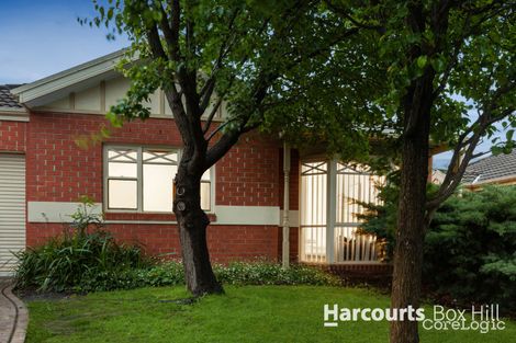 Property photo of 1/87-91 Watts Street Box Hill North VIC 3129