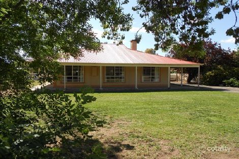 Property photo of 19 Wirrega Road Mundulla SA 5270