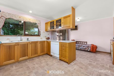 Property photo of 41 Colac Grove Belmont VIC 3216