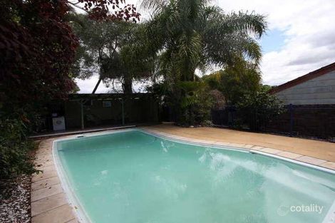 Property photo of 16 Tumbarumba Avenue Ashmore QLD 4214