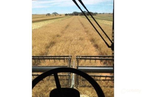 202 Pine Plains Rd, Patchewollock, VIC 3491