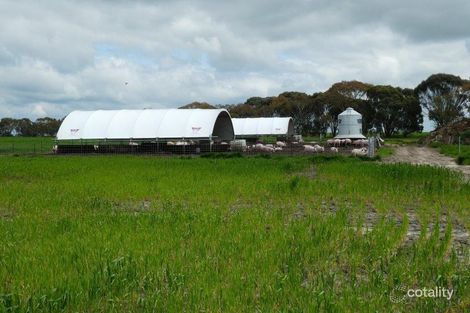 4298 Boxwood Hill-Ongerup Rd, Cowalellup, WA 6336