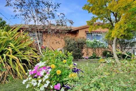 Property photo of 20 Wren Street Norlane VIC 3214