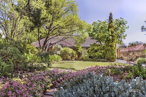 14 Thorpe St, Torrens Park, SA 5062