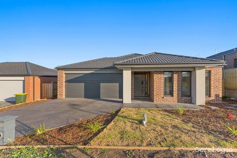 Property photo of 35 Blackwattle Court Mernda VIC 3754