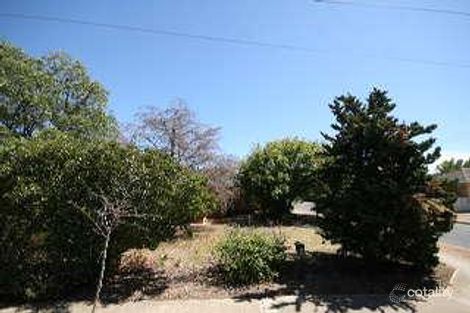 Property photo of 22 Allambee Avenue Edwardstown SA 5039