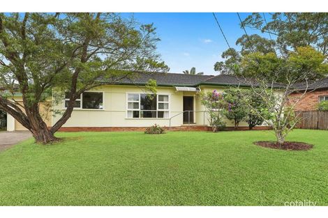 Property photo of 6 Brett Avenue Hornsby Heights NSW 2077